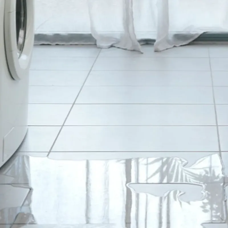 Appliance Leak Cleanup in Lake Providence, LA