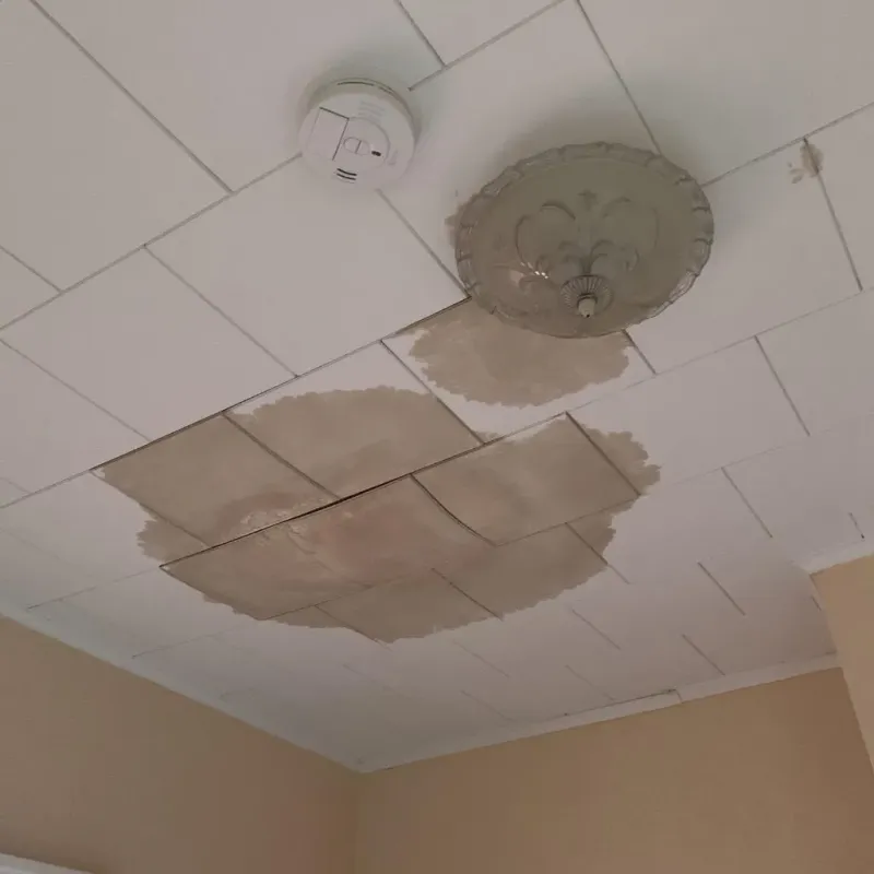 Ceiling Water Damage Repair in Lake Providence, LA