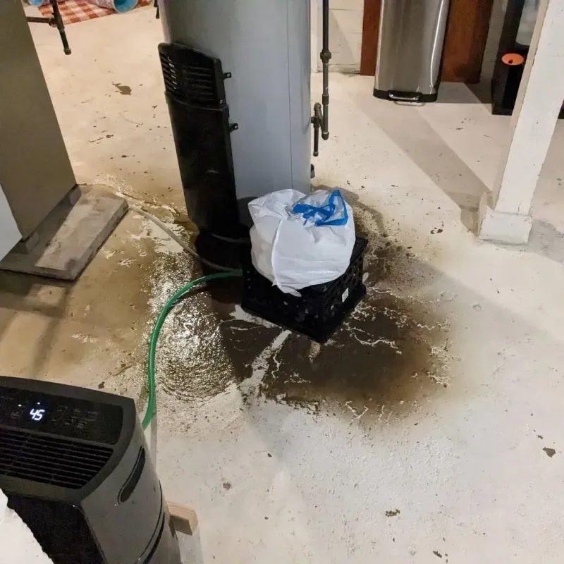 Sewage Backup Cleanup Service in Lake Providence, LA